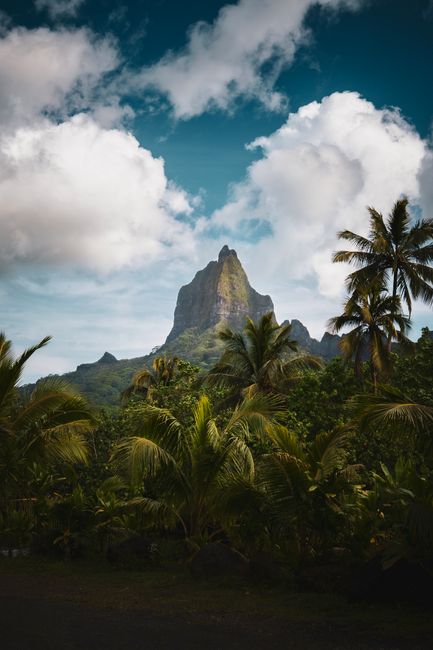 French Polynesia