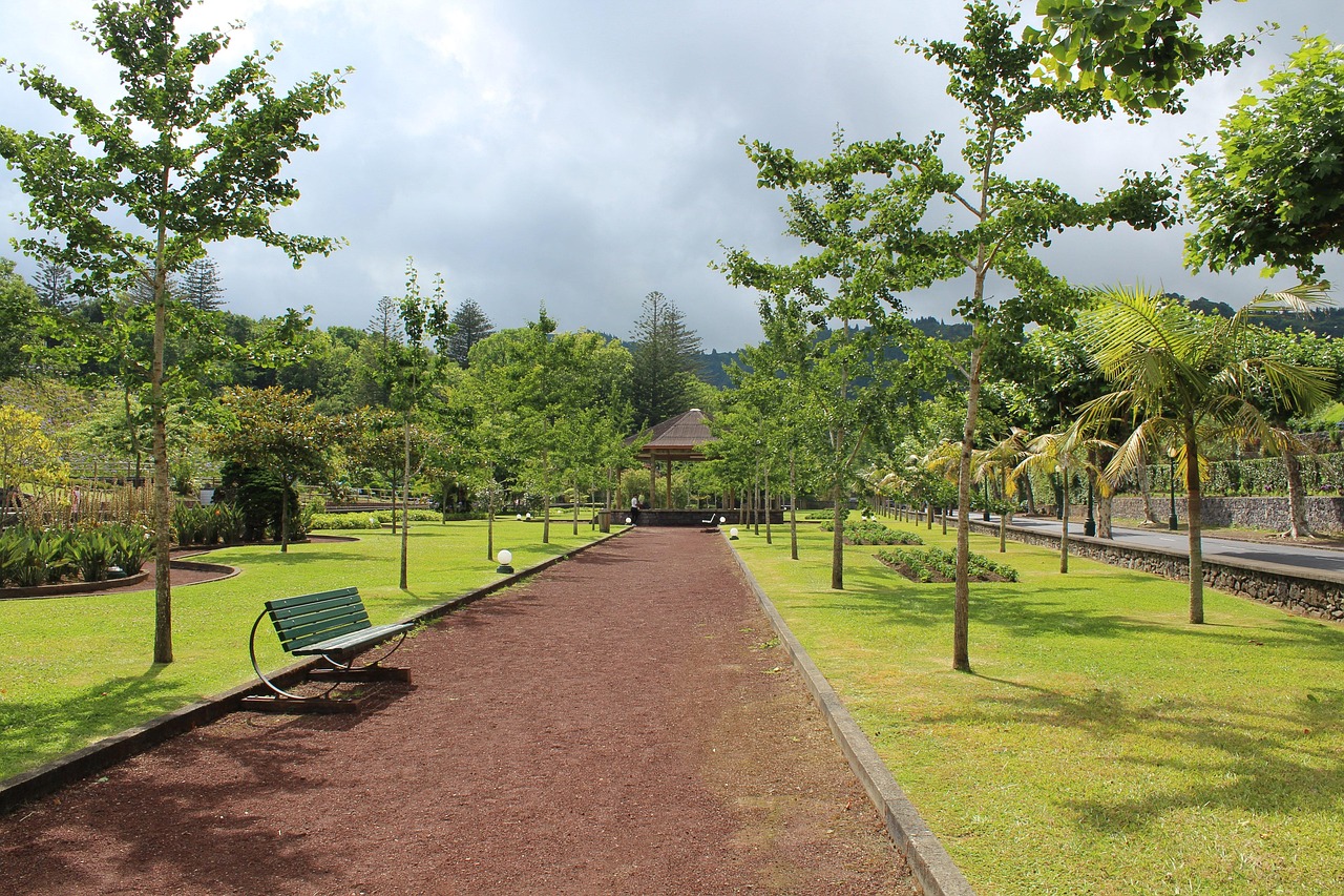 Furnas, azores, park, nature, landscape, trees, green, bank, furnas, furnas, furnas, furnas, furnas