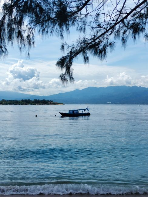Peaceful coastal scene with a boat on calm waters, framed by mountains and trees.