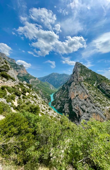 A breathtaking view of the Verdon Gorge with vibrant blue river and lush greenery in Provence, France.