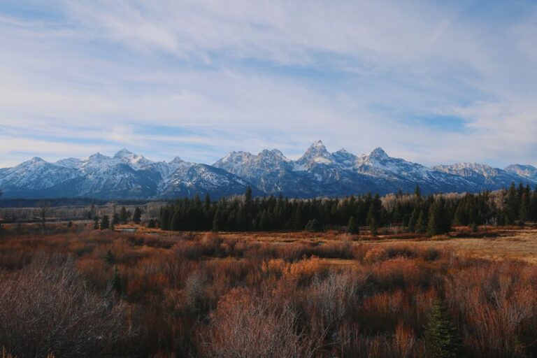 Experience the majestic Grand Teton Mountains and vast wilderness under a clear sky. Perfect for nature lovers and adventurers.