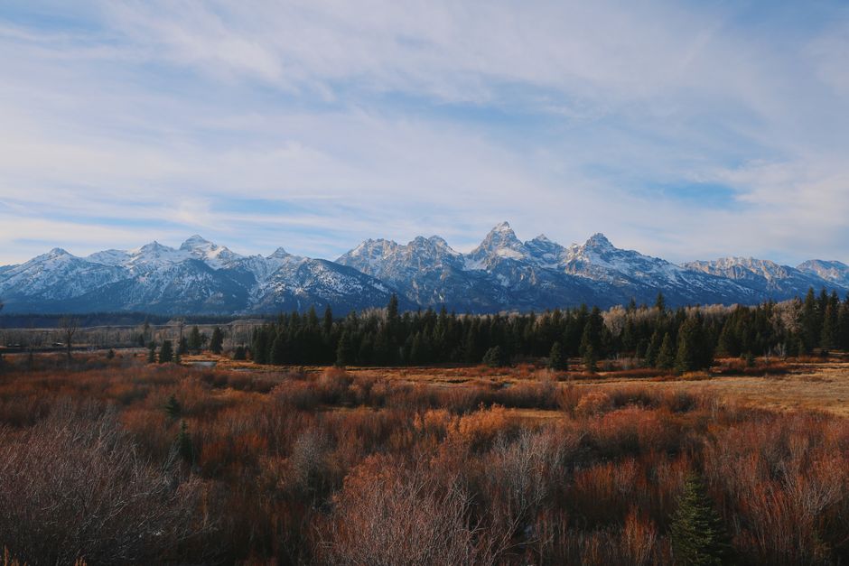 Experience the majestic Grand Teton Mountains and vast wilderness under a clear sky. Perfect for nature lovers and adventurers.