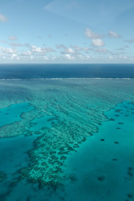 Stunning aerial shot of vibrant coral formations in the Whitsundays, Great Barrier Reef.