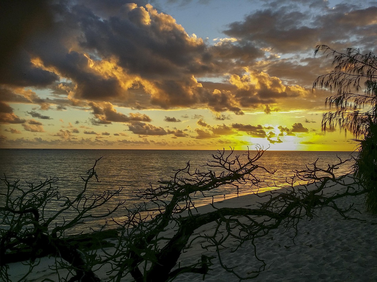 Heron island, australia, tropical, great barrier reef, scenery, tourism, coral, queensland, nature, landscape, scenic, vacation, sunset, peaceful, paradise, sea, natural, travel, sky, water, ocean, he