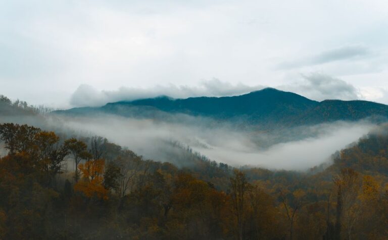 Serene mist over Smoky Mountains and autumn forest in Gatlinburg, TN.