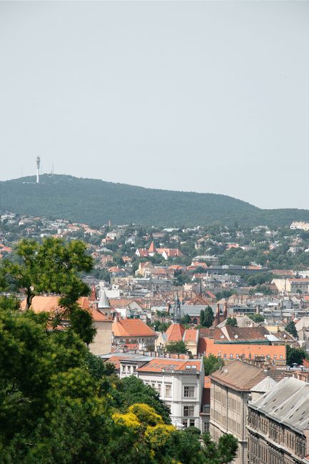 Captivating aerial cityscape of Budapest with hills and urban architecture.
