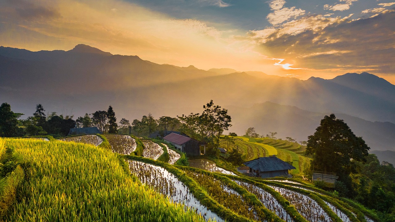 Field, nature, sunlight, Vietnam, Thong Nguyen, Hà Giang