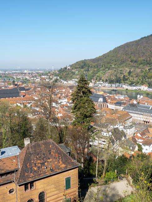 Panoramic view of Heidelberg, Germany, showcasing historic architecture and the Neckar River.