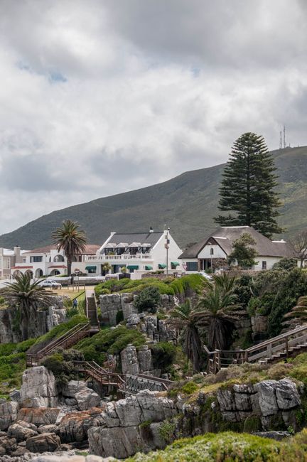 Dramatic coastal landscape in Hermanus, Western Cape with architecture and lush vegetation.