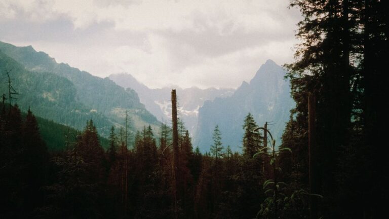 Breathtaking view of the High Tatras mountains surrounded by dense forest.