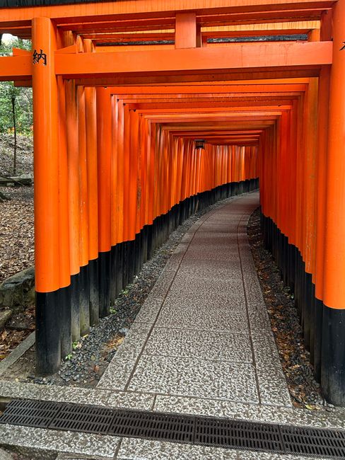 Explore the iconic red torii gate pathway at Fushimi Inari Shrine in Kyoto, Japan.
