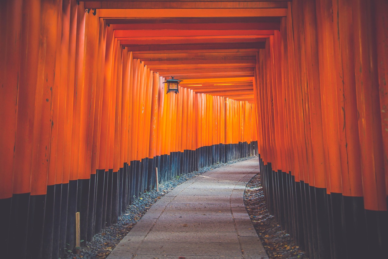 Shinto shrine gates, torii tunnel, path, fushimi-inari taisha, passage, pathway, wood, landmark, architecture, art, torii gate, famous, japanese culture, kyoto, japan, pathway, japan, japan, japan, ja