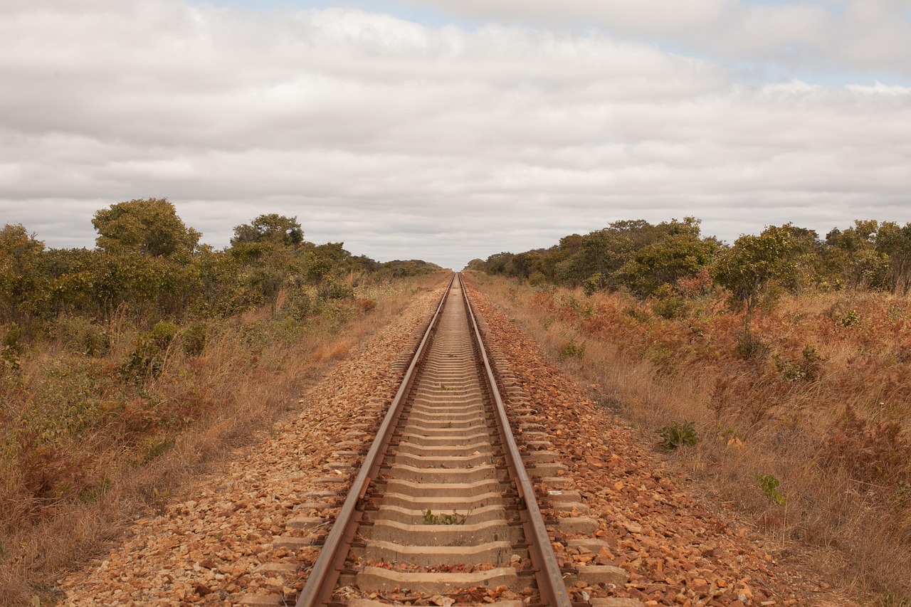 Train, africa, zimbabwe, railway, endless, hwange, national, park, transport, landscape, livingstone, rail, road, brown train, zimbabwe, hwange, livingstone, livingstone, livingstone, livingstone, liv