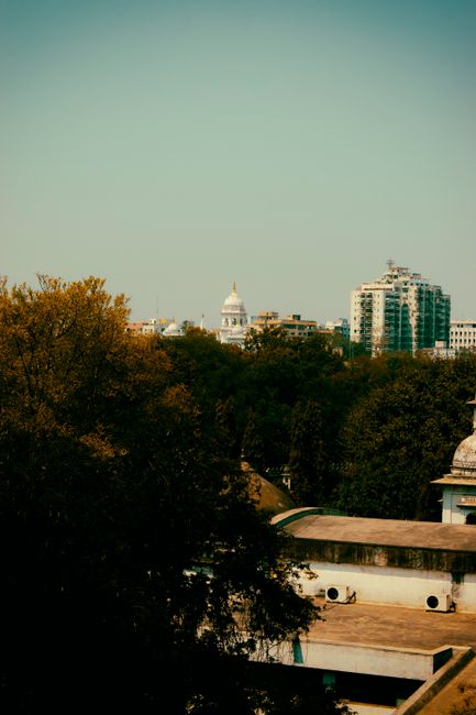 Hyderabad cityscape featuring lush green trees and urban buildings with blue sky.