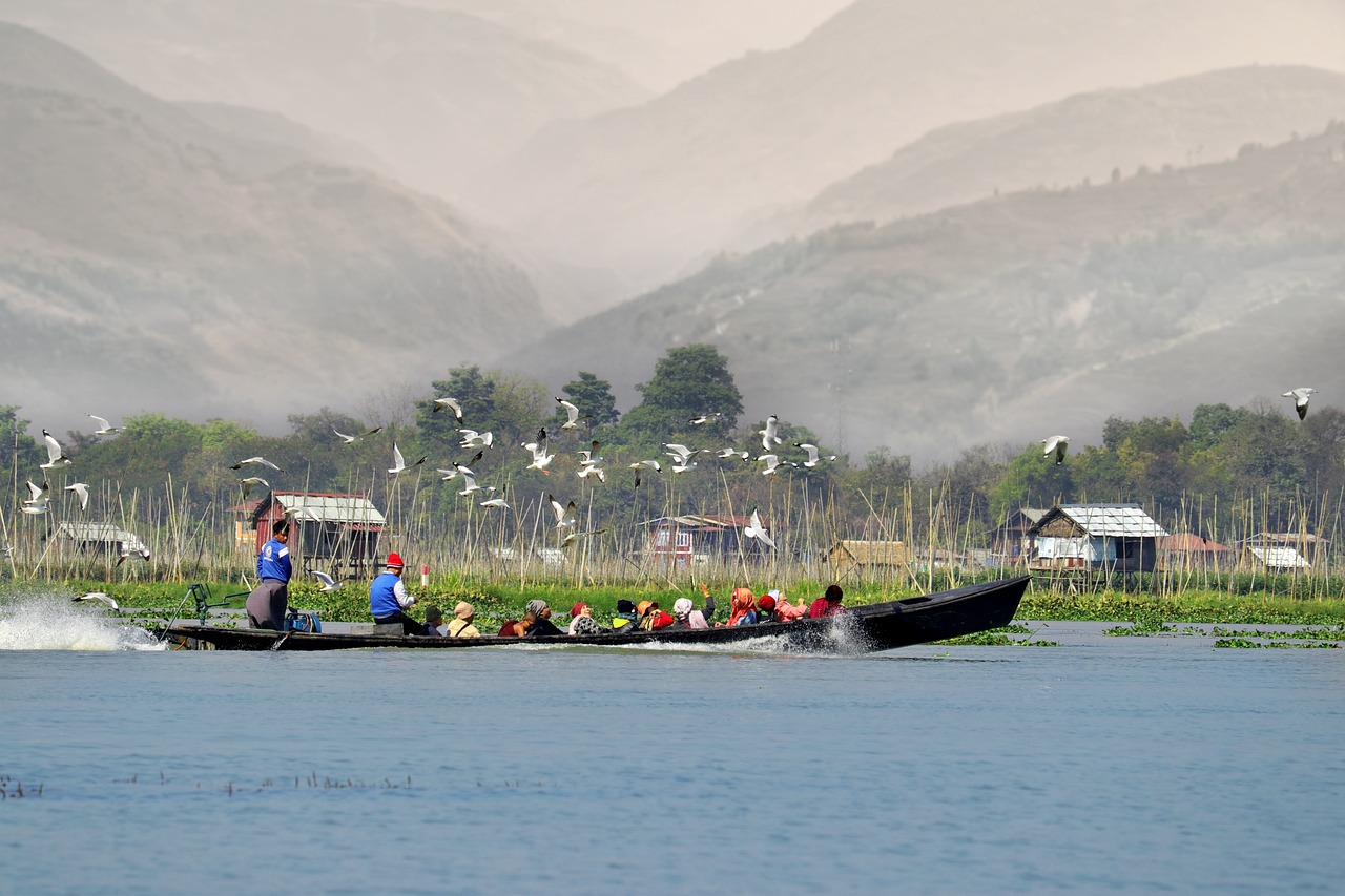 Inle lake, burma, myanmar, boat, lake, the water, inle, floating gardens, travel, landscape, nature, bird, on the water, asia, inle lake, burma, myanmar, myanmar, myanmar, myanmar, myanmar, inle, inle