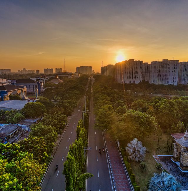Narrow asphalt roadways going between tall lush green trees on street in city with residential houses against bright sundown sky