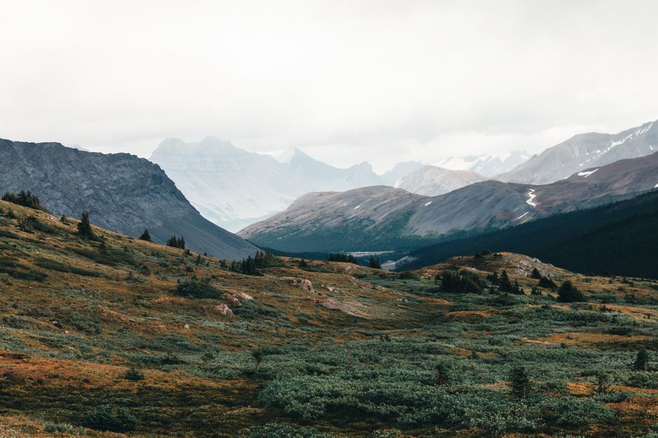 Breathtaking view of the rugged mountains and verdant meadows in Jasper National Park, Alberta.