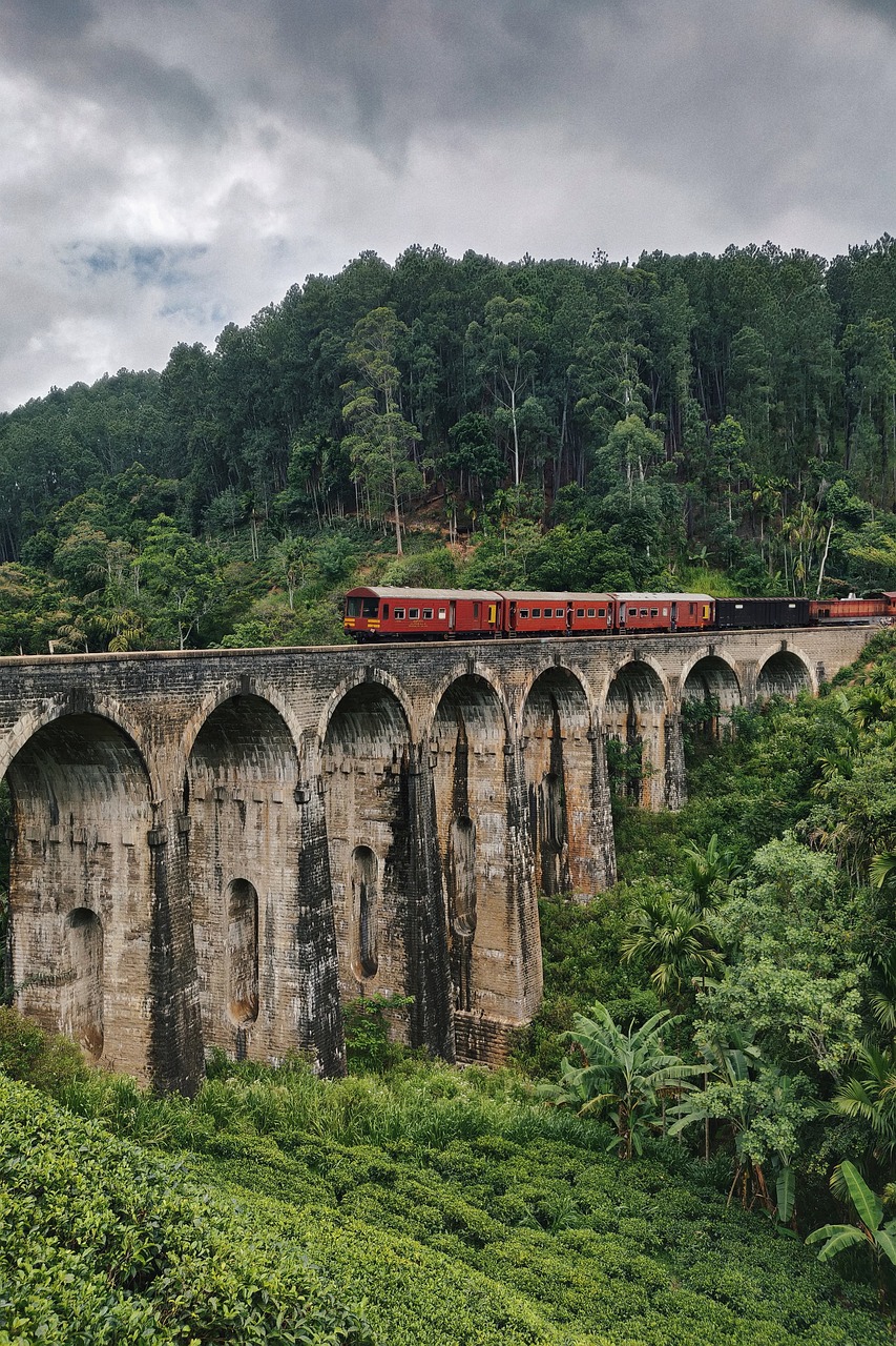 Ella, kandy, sri lanka, asia, travel, train, railway, bridge, nine arch bridge, tourism, ella, ella, ella, ella, ella, kandy, kandy, kandy, kandy, sri lanka, sri lanka
