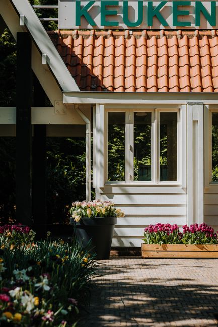 Beautiful garden scene at a Dutch cottage with vibrant tulips in spring.