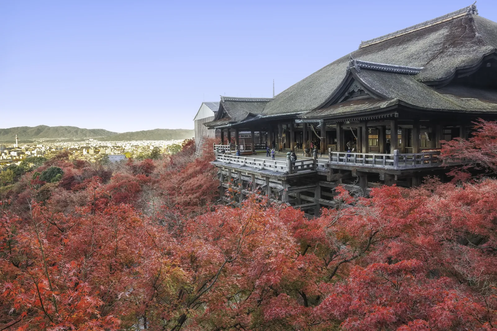 Kiyomizu-dera temple surrounded by red autumn maples, Kyoto, Japan