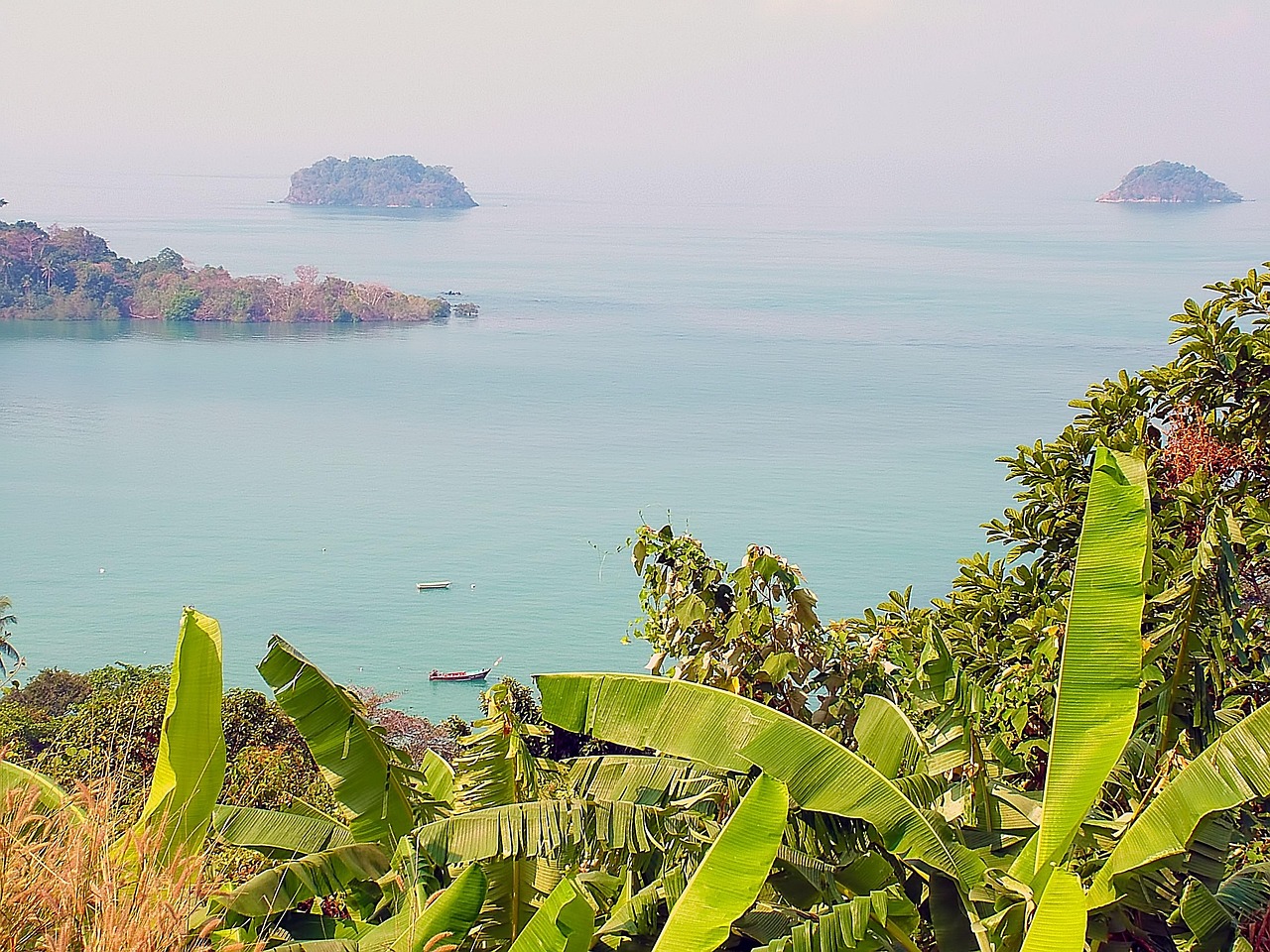 Sea, nature, landscape, boat, shin, thailand, ko chang, plant