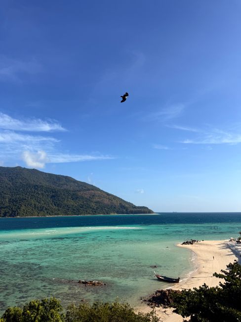 Aerial view of a tranquil tropical beach with turquoise waters, a lone bird soaring, and lush hills in the background.