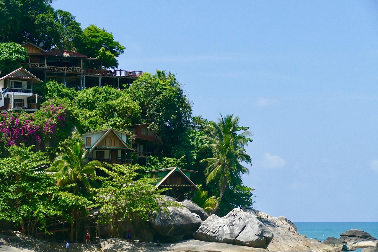 Nature, summer, tree, travel, tropical, heaven, coast, tourism, idyllic, beach, house, sea, vacations, island, plant, wood, thailand, ko phangan
