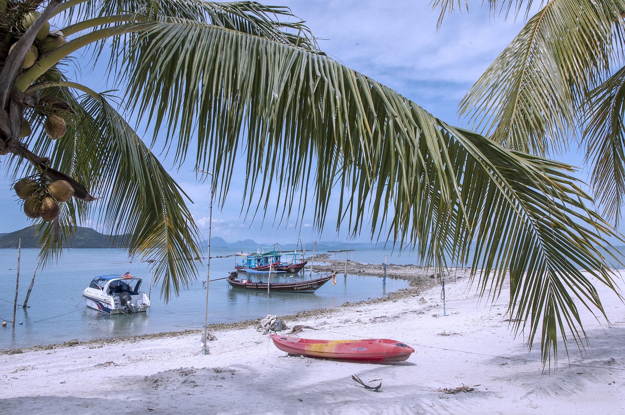 Ko samui, thailand, beach, sea, holiday, ocean, travel, sun, tropical, blue, tourism, coast, summer, paradise, relax, sand, nature, tree, coconut