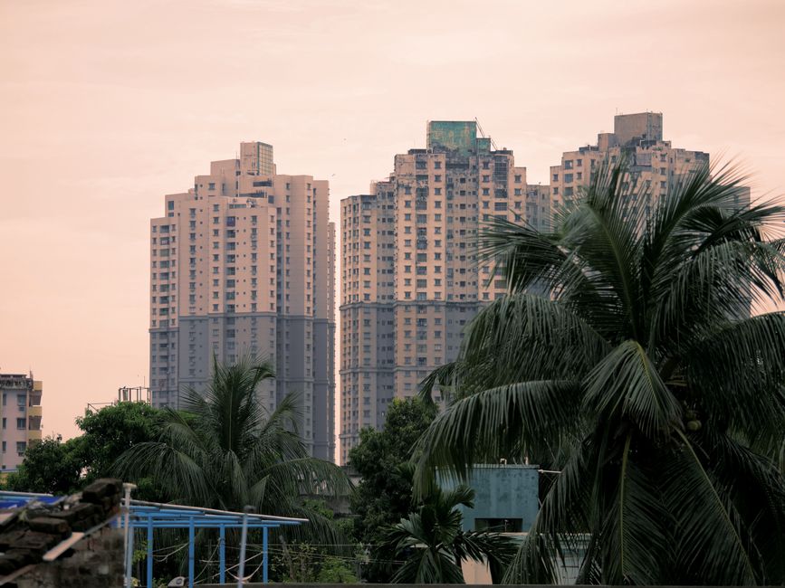 Skyscrapers and lush palm trees in Kolkata, India, at daytime.