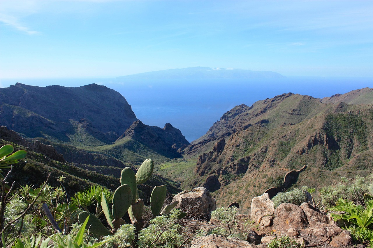 La gomera, canary islands, island, tenerife, vacations, landscape, nature, spain, cacti, sea