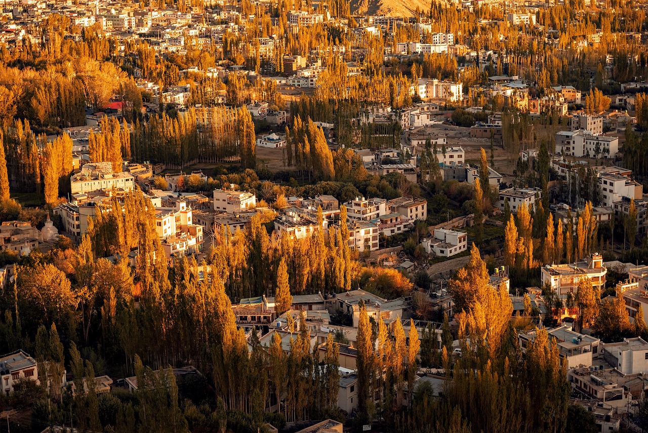 Town, fall, india, royal spirit, le h, ladakh, india, india, ladakh, ladakh, ladakh, ladakh, ladakh