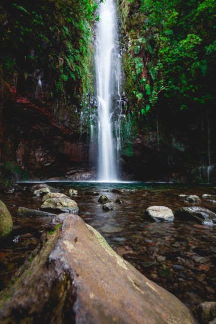 Experience the lush beauty of 25 Fontes Falls surrounded by dense greenery in Madeira's Rabacal region.