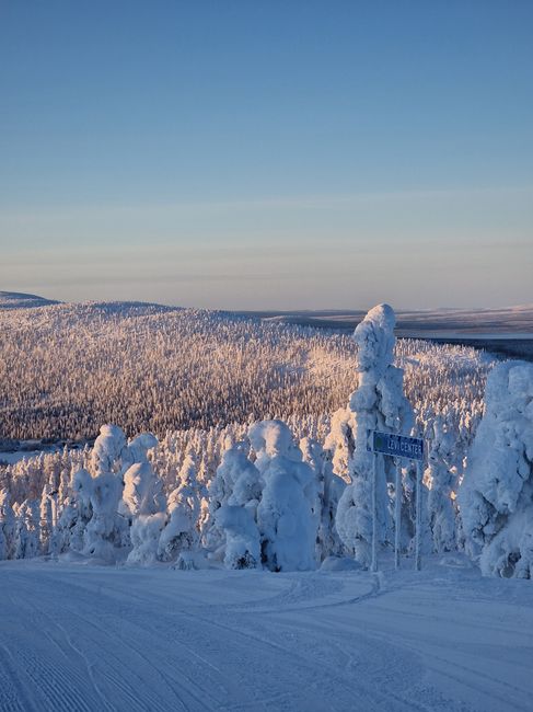 Breathtaking snow-covered forest landscape under a clear winter sky.