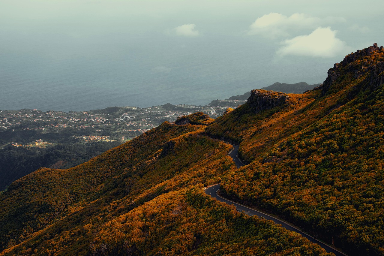 Road, mountains, forest, madeira, portugal, sea, hill, nature, coast, landscape