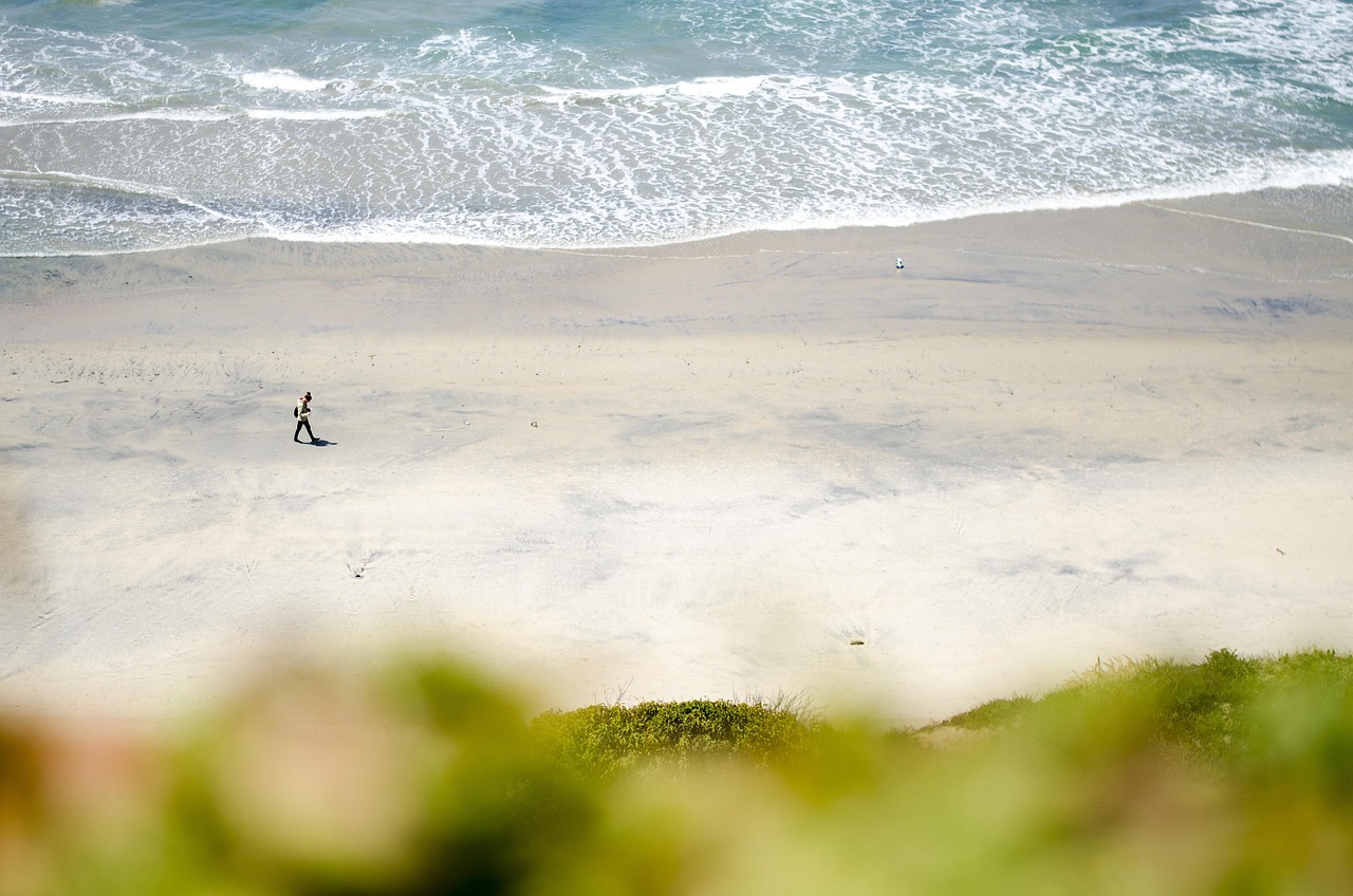 California, beach, san diego, nature, del mar, usa, sea, person, walking, human, ocean, landscape