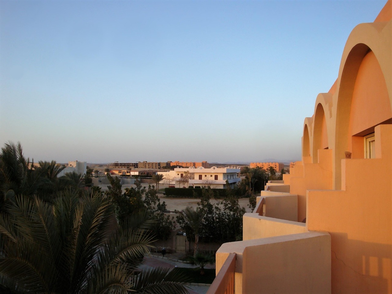 View, marsa alam, palm trees, marsa alam, marsa alam, marsa alam, marsa alam, marsa alam