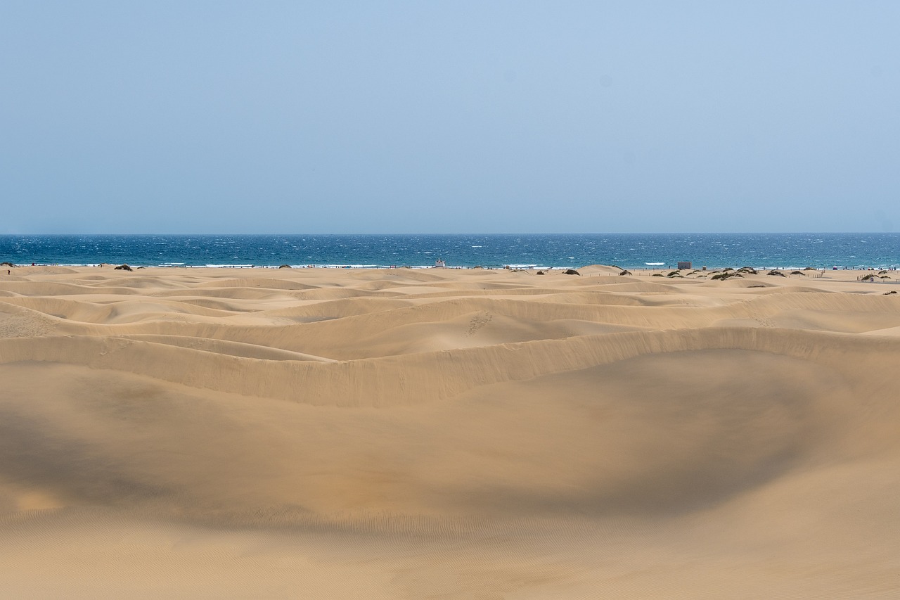 Desert, beach, sand, gran canaria, island, ocean, nature, maspalomas, summer, travel, adventure