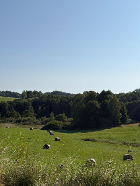 Beautiful rural landscape in Poland with green fields and hay bales under a clear blue sky.