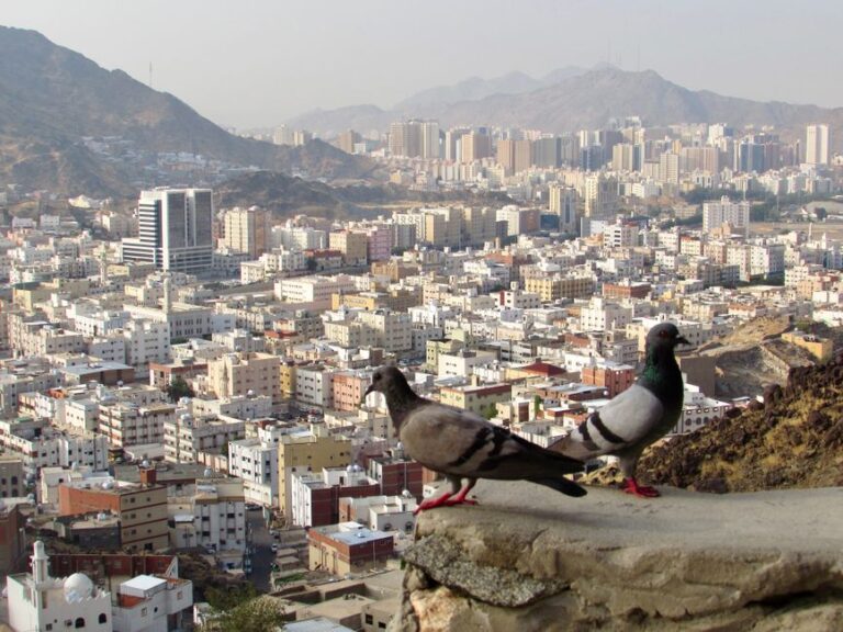 Two pigeons perched with a panoramic view of Makkah, Saudi Arabia, cityscape and mountains.