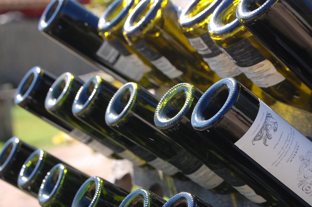 Mendoza, wine, argentina, vineyard, mendoza, mendoza, mendoza, mendoza, mendoza