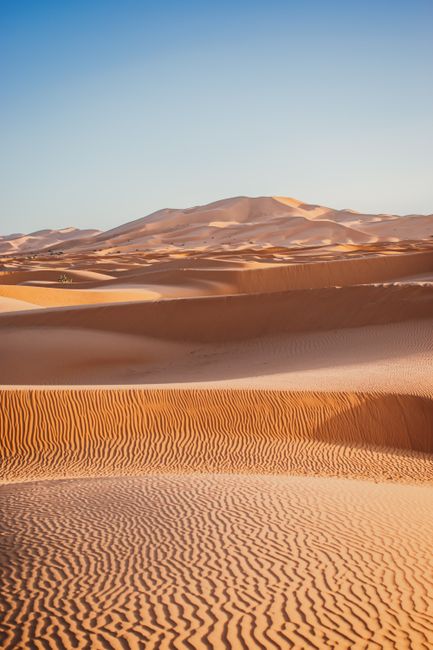 Captivating view of the vast sand dunes in the Merzouga Desert, Morocco, under a clear blue sky.