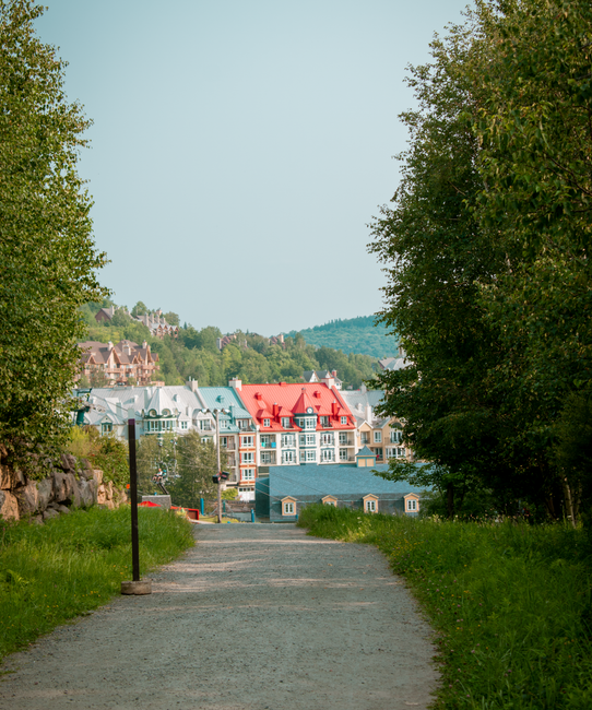 Charming colorful houses in Mont-Blanc, Québec, captured in vibrant summer scenery.