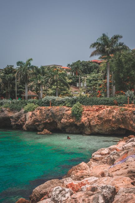 Scenic view of Montego Bay with lush palm trees and turquoise waters, perfect summer getaway.