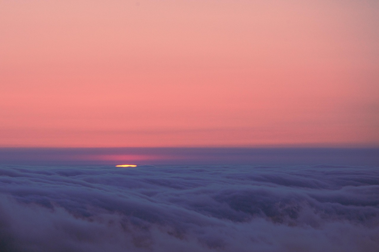 Sunset, dawn, sea of clouds, clouds, pink, purple, waves, light, sky, afterglow, setting, fremont peak state park, nature, monterey