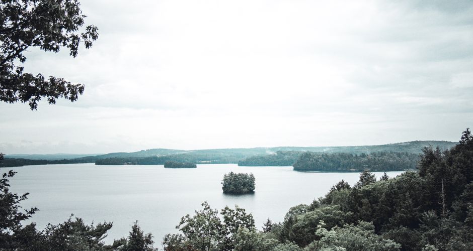 Tranquil view of a lake surrounded by lush trees and distant hills, perfect for nature lovers.