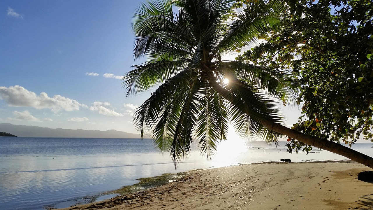 Fiji, nature, of the fiji islands, beach, sun, clouds, palm tree, pacific, south seas, travel, island, paradise, fiji, fiji, fiji, fiji, fiji
