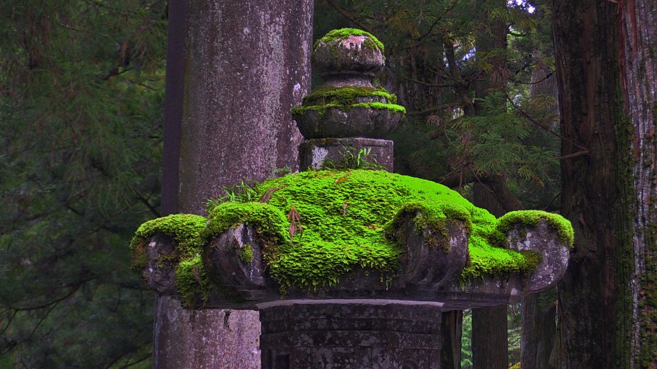 Stone lantern, moss, japan, nikko, japan, nikko, nikko, nikko, nikko, nikko