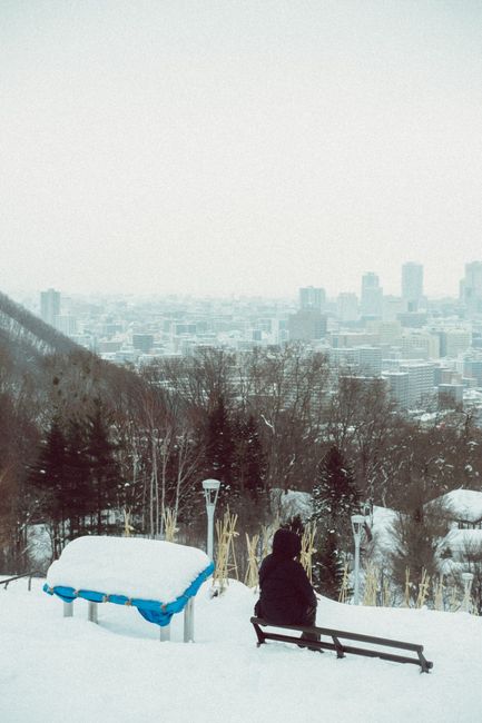 Scenic view of Hokkaido in winter with snow-covered bench and trees.
