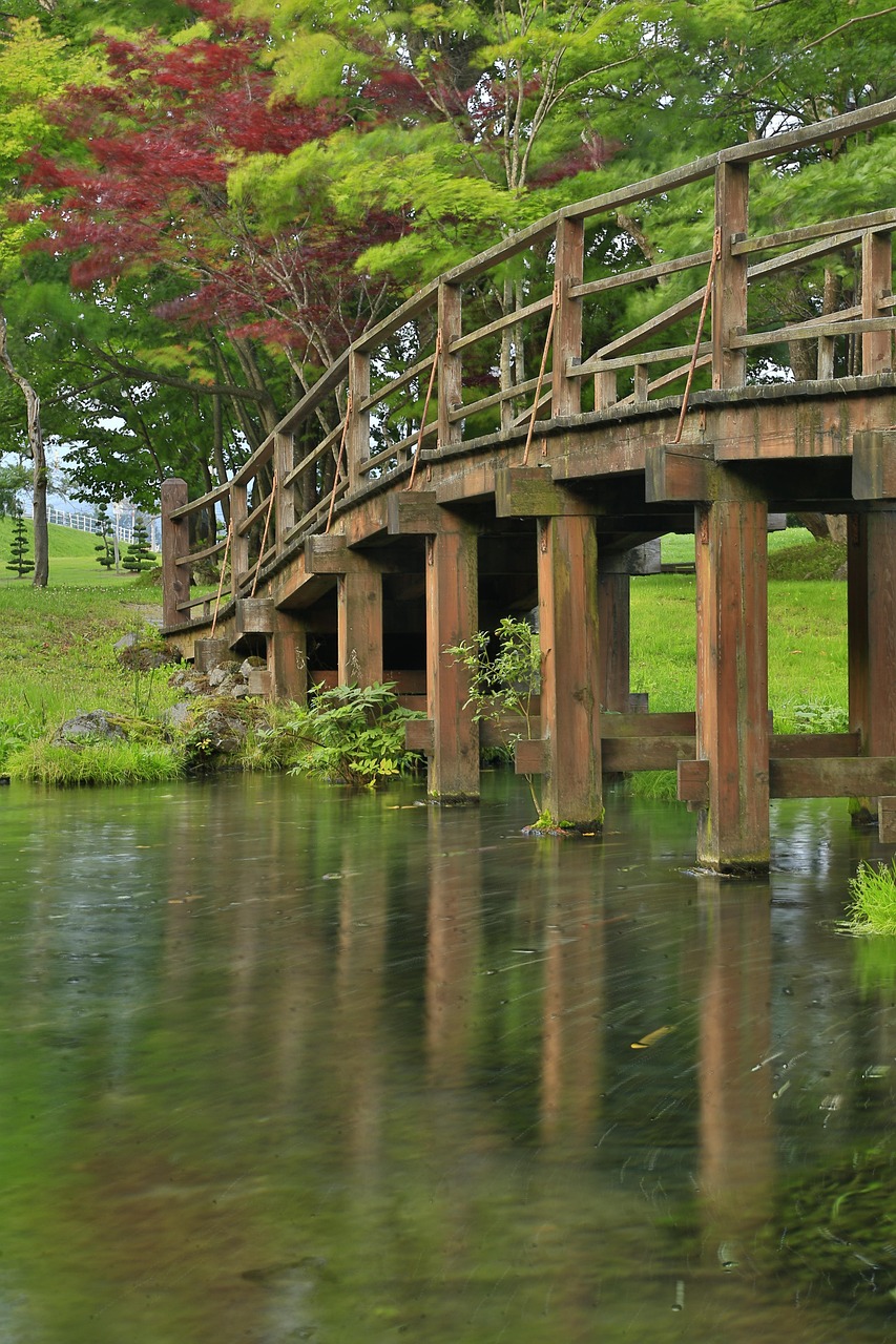 Japan, bridge, parkland, trees, autumn, nature, landscape, niseko, wood