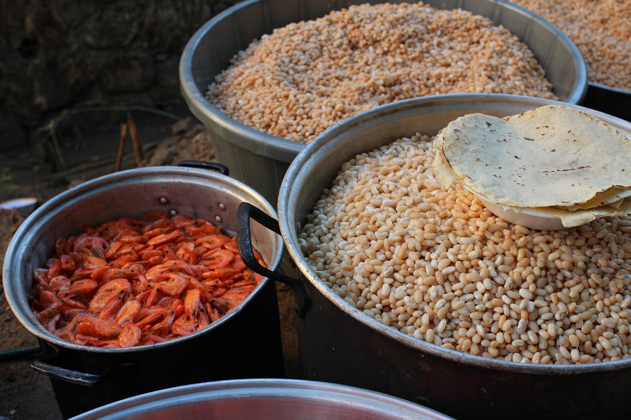 Food, mexico, chatino, indigenous, nopala, oaxaca, oaxaca, oaxaca, oaxaca, oaxaca, oaxaca